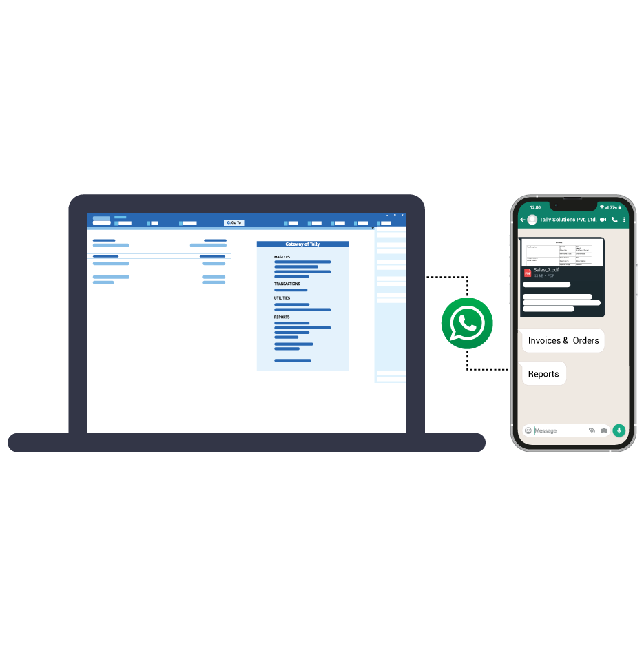 Tally software services